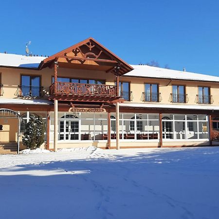 Stronie ŚląskieGorska Dolina住宿加早餐旅馆 外观 照片
